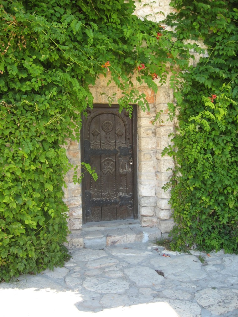 A beautiful door surrounded by greenery