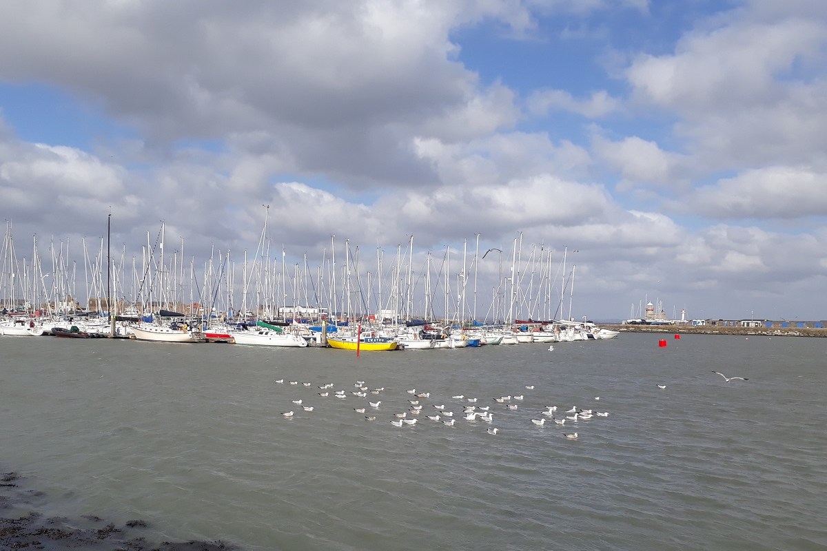 Day trip to Howth from Dublin