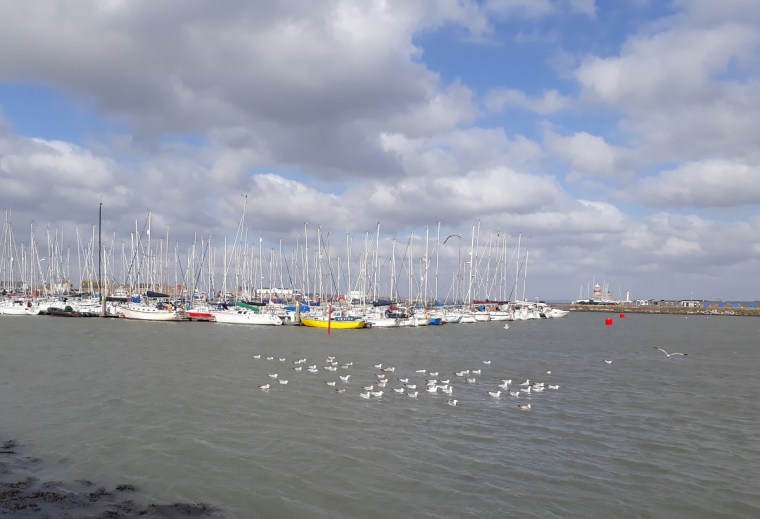 Day trip to Howth from Dublin