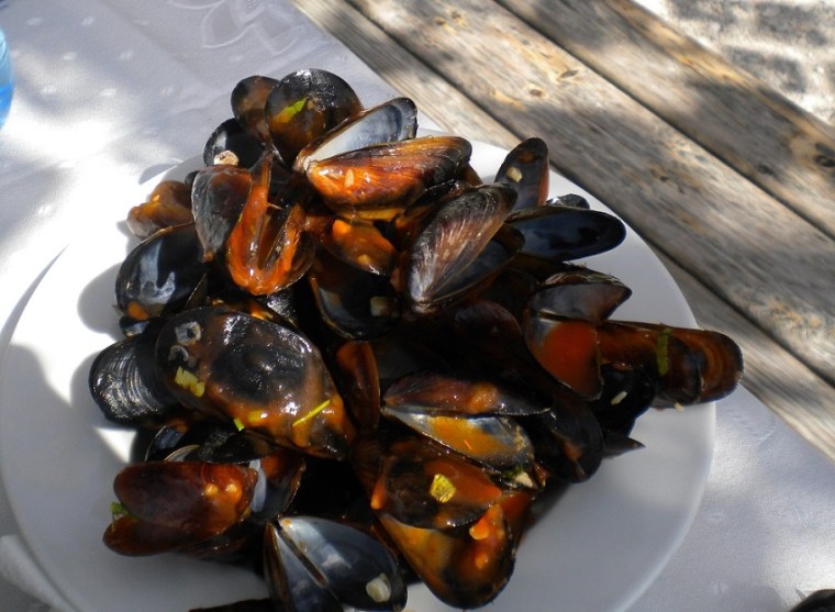 mussels