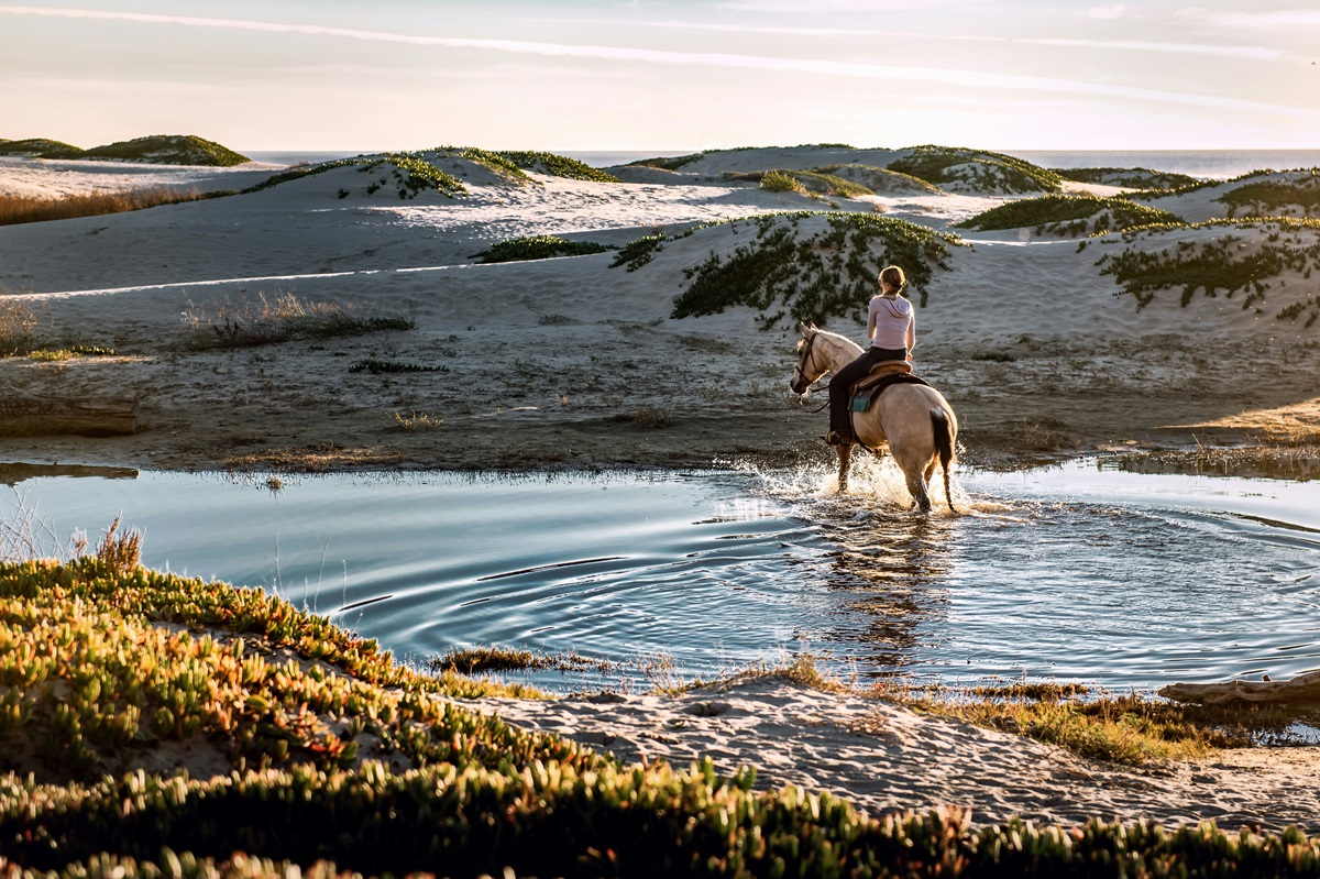 horseback riding vacations