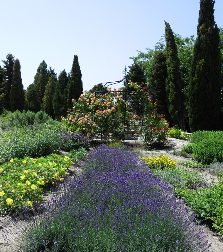 Lavender and other flowers