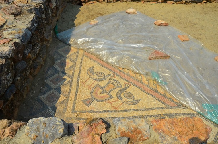 Roman mosaic in an Early Christian Basilica in Lin Village, Lake Orchid Area.