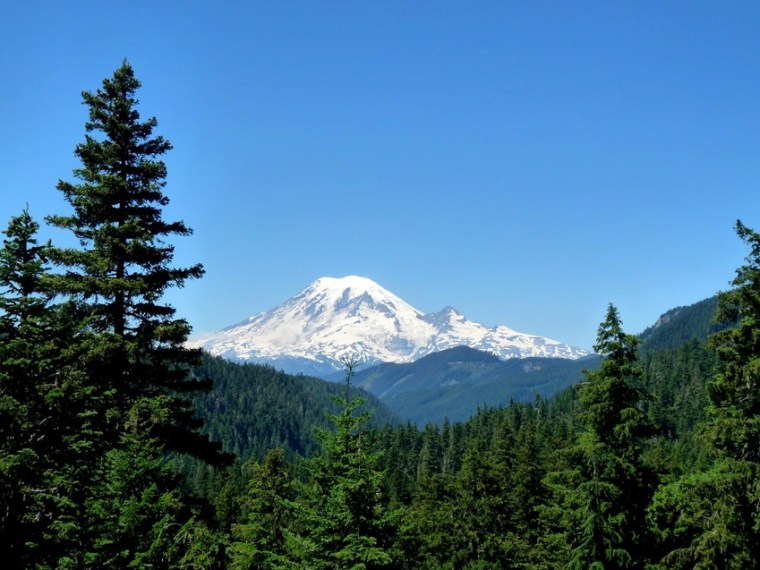 Mount Rainier - Seattle Day Trips