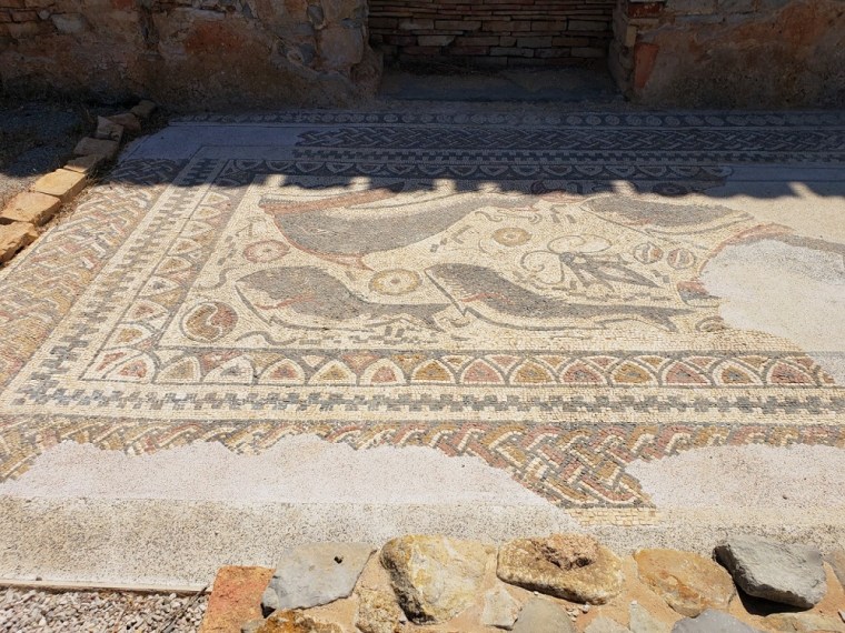 Mosaic fragment at Milreu in Portugal.