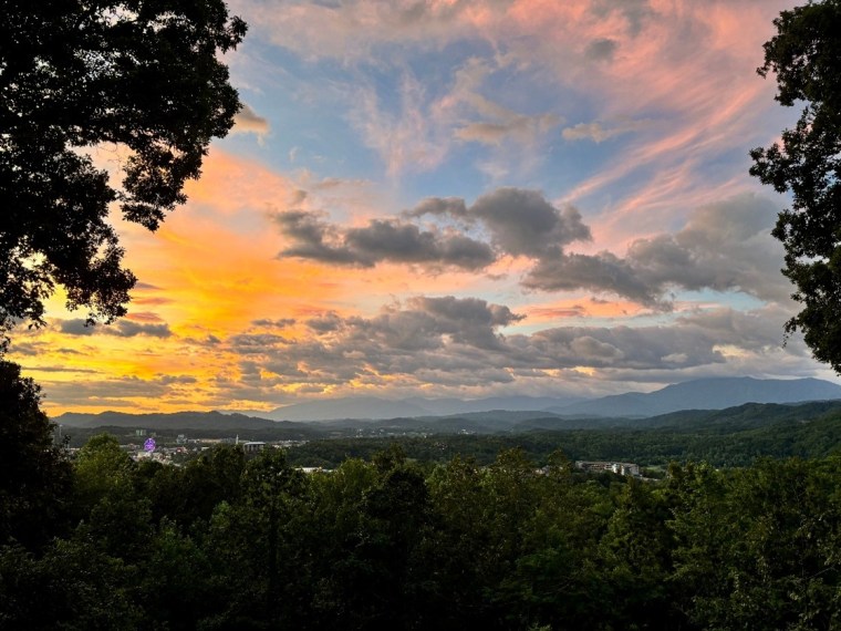 Traveling with the Whole Family