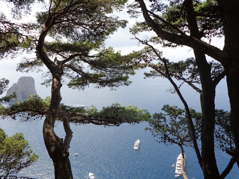 Things to do on Capri Island - Admiring beautiful views