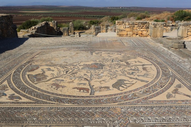 Exquisite Roman Mosaic representing local animals, in Volubilis, Morocco.