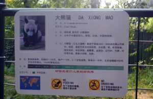 Beijing Zoo, all are in Chinese, no English